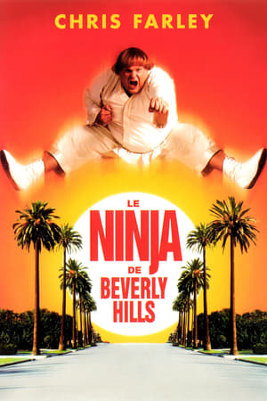 Le Ninja de Beverly Hills