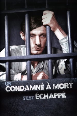 Un condamné à mort s'est échappé